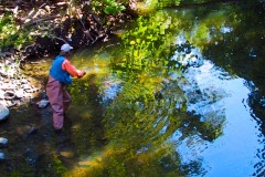 creek_fishing_final creek_fishing_final