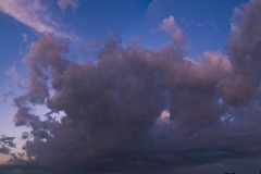 _IMG4597_4598_flat _IMG4597_4598_flat