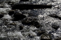 _IMG2941 _IMG2941