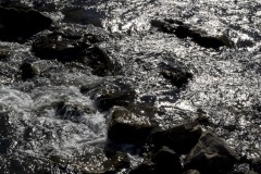 _IMG2944 _IMG2944