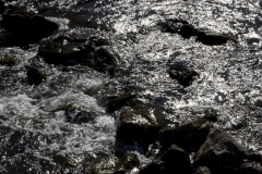 _IMG2945 _IMG2945
