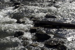 _IMG2946 _IMG2946