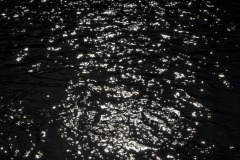 _IMG2953 _IMG2953