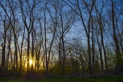 _IMG3701 _IMG3701