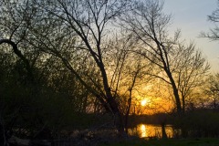 _IMG3707 _IMG3707