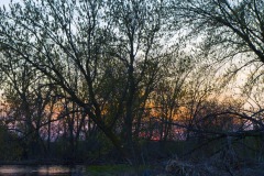 _IMG3717 _IMG3717