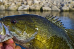 _IMG3740 _IMG3740