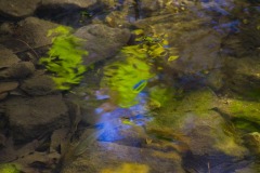 _IMG6862 _IMG6862