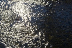 _IMG3082 _IMG3082