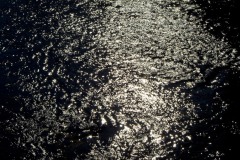_IMG3083 _IMG3083