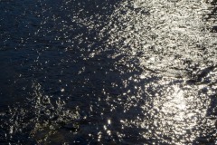 _IMG3084 _IMG3084
