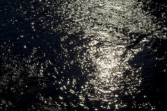_IMG3085 _IMG3085