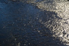 _IMG3087 _IMG3087