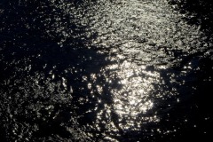 _IMG3088 _IMG3088