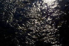 _IMG3089 _IMG3089