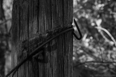 IMG6365_BW IMG6365_BW
