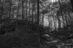 IMG6367_BW_lores IMG6367_BW_lores