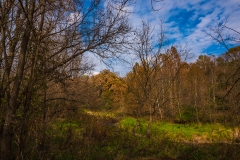 IMG6419 IMG6419