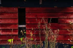 IMG6422 IMG6422