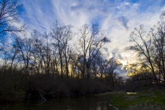 _IMG3650 _IMG3650
