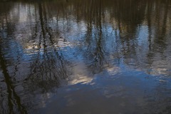 _IMG3652 _IMG3652