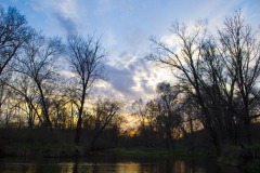 _IMG3656 _IMG3656