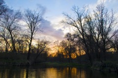 _IMG3664 _IMG3664
