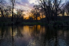 _IMG3667 _IMG3667