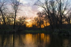 _IMG3677 _IMG3677