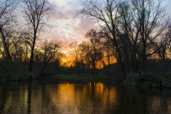 _IMG3681 _IMG3681