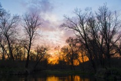 _IMG3684 _IMG3684