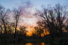 _IMG3688 _IMG3688