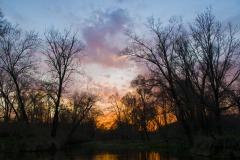 _IMG3692 _IMG3692