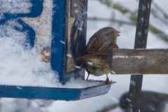 _IMG2474 _IMG2474