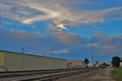 IMG_3679 IMG_3679