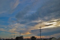 IMG_3684 IMG_3684