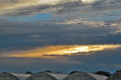 IMG_3685 IMG_3685