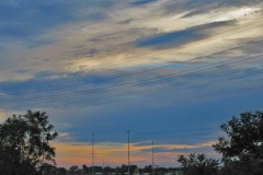 IMG_3688 IMG_3688