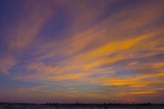 _IMG2606_2607_cropped _IMG2606_2607_cropped