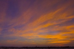 _IMG2612_2613_cropped _IMG2612_2613_cropped