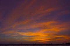 _IMG2616_2617_cropped _IMG2616_2617_cropped