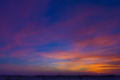 _IMG2626_2627_cropped _IMG2626_2627_cropped