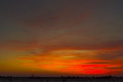 _IMG2641_2642_cropped _IMG2641_2642_cropped