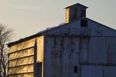 _IMG2540 _IMG2540