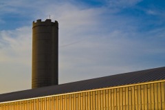 _IMG2543 _IMG2543