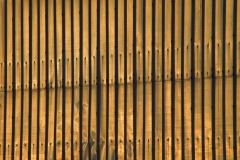 _IMG2547 _IMG2547