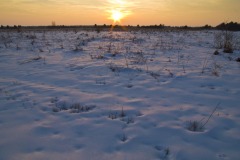 _IMG2571 _IMG2571