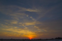 _IMG2585 _IMG2585