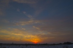 _IMG2591 _IMG2591