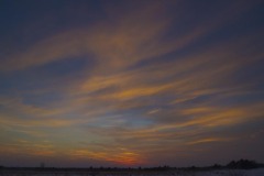 _IMG2599 _IMG2599